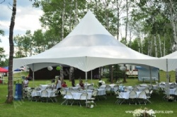 Wholesale 12m Hexagon Tent for Garden Party on The Grass